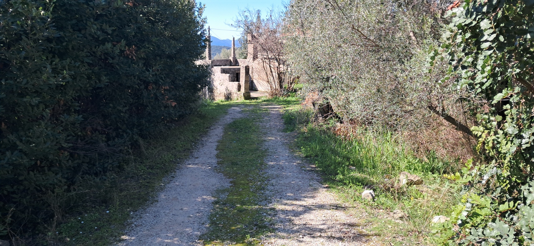 Asfaltirani pristupni put prema kući na Šipanu